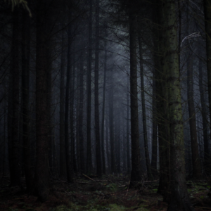 ep4 PBS 吐槽小会｜漫谈 MEV 真实数据揭示的扎心现实以及以太坊的中心化情况