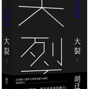 35.《大裂》:带着抽离感去生活,大象席地而坐…