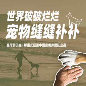 客厅聊天室 | 世界破破烂烂，宠物缝缝补补