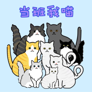 008 当我加班的时候，我在想我的猫（下）