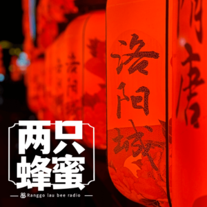 cover of episode Vol.32 洛阳亲友如相问，一片冰心在——王嫂私房菜口水脆皮茄子（洛阳游记）