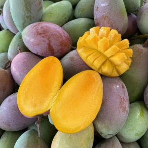 VOL74.持续爆单中：侯姐开启水果大业11天，出货20单。