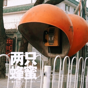 Vol.8“喂，你好”——普通人通信简史