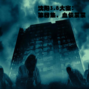 沈阳3.8大案：第四集，血债累累
