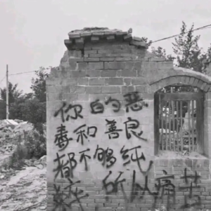 【加更】：紫菜蛋花兔，谁给你脸说你从没霸凌过别人的？！