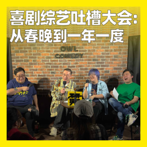 53. 喜剧综艺吐槽大会：从春晚到一年一度