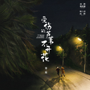 《受伤的芦苇不开花》第二期