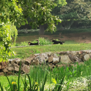 -056 作为医生和患者，我们该如何面对其他医生可能出现的错误？