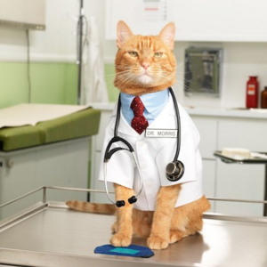 谈谈加拿大和美国医疗的不同之处