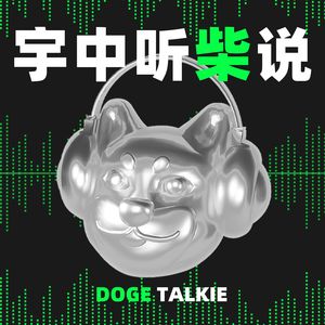 宇中听柴说 DOGE TALKIE