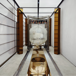 医学PUA 不配点中药你治不好甲流 【六根不净】 Vol. 034