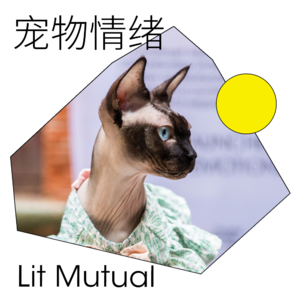 Lit Mutual｜从适宠化设计到关注宠物情绪：与宠共居的视角转变