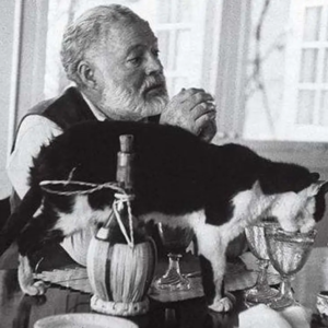 雨天 杜松子酒 和猫 | 海明威