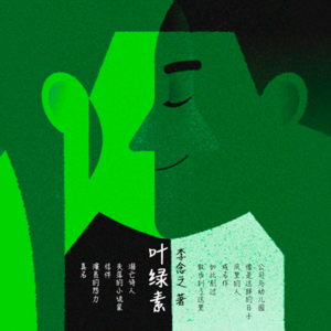 Opus 48：下了冬天的第一场雪 | 叶绿素 20