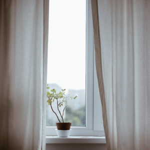 #342 New Beginnings｜Mini Playlist