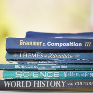 (双语) AEE-3: When Should You Study English?