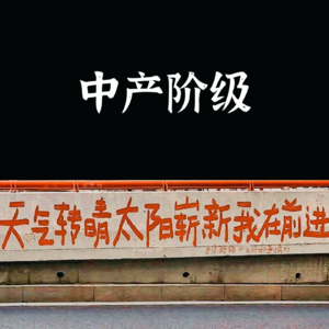 是谁在阻止我们成为真正的中产阶级？