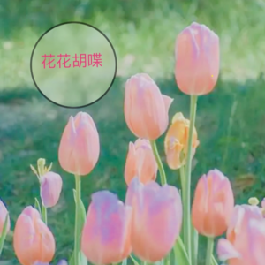 管他呢，先自信今天的！