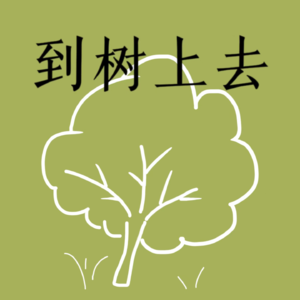 01 | 23届秋招复盘：天气很好，offer几乎没有