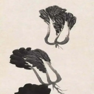 从立冬聊起的一期咽口水播客