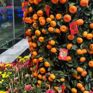 010. | 春节特辑 | 你的过年我的过年好像不一样，潮汕东北习俗大赏