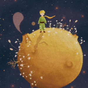 006. 看阿姨们如何撕毁附着于《小王子》身上的浪漫标签！