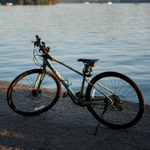 75.嘻嘻,可是这辆自行车是绿色的诶!