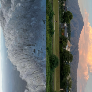 #20 非典型性亲密关系记录