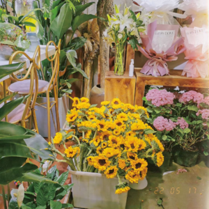 VOL55. 《苏东坡传》：我们要学会区分作品的文学性和史学性。