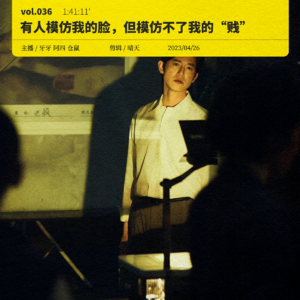036. 《模仿犯》：有人模仿我的脸，但是模仿不了我的“贱”