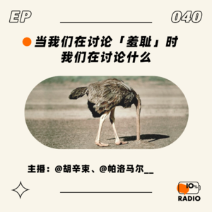 EP040-当我们在讨论「羞耻」时,我们在讨论什么。