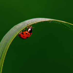 014-惊蛰说蛰伏，他们在“低谷期”是这样修炼的