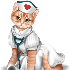 大学是否应该拒绝虐猫学生的读研申请？