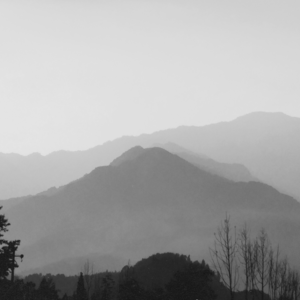 《相遇自然的眼神》作者：单于 朗诵：文懿