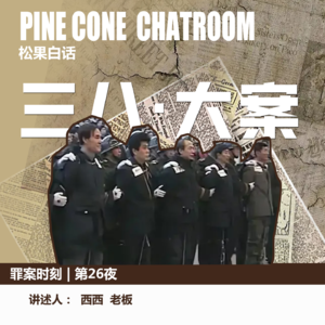 35.罪案时刻|全民追缉：辽宁省三八·大案