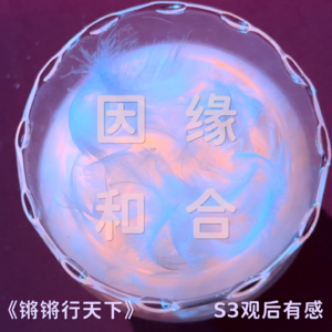 为什么你这么努力还没有用？因缘和合！《锵锵行天下》第三季观后启发