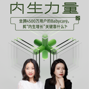 VoI.1坐拥4500万用户的Babycare，其"内生增长"关键靠什么？(上)