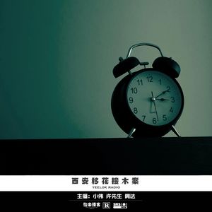 078.西安移花接木案