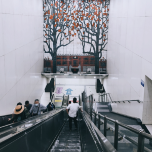 43. 从日本回北京,聊聊感受(上期)