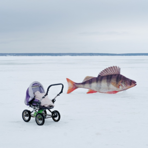 鬼台第467期：电梯里碰见啄木鸟
