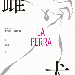 P6.《雌犬》:当爱没有回应,冷漠即是背叛