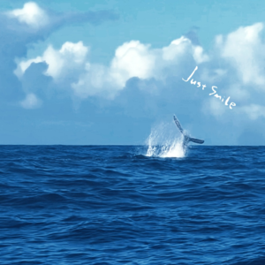 Vol.06 | 旅行归来：变黑变壮变快乐