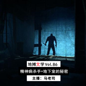 【地摊文学】精神病与女劫匪+地下室的秘密 Vol.86