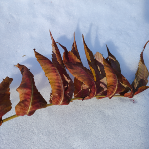 31.【勾八二扯】——体制内or体制外，故乡or他乡，三十岁也依然可以迷茫又叛逆