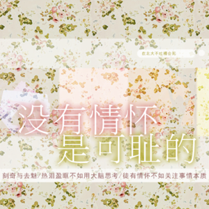 没有情怀是可耻的.mp3