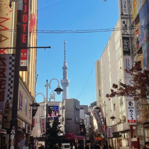Vol15. 日本，一个不远的远方！