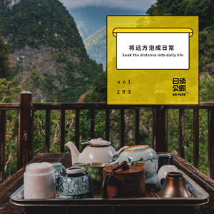 vol. 293 将远方泡成日常