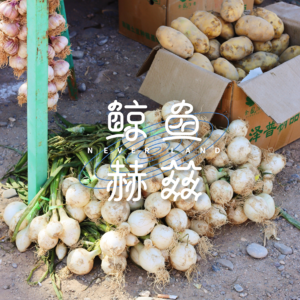 Vol.152 我承认我挑食,但不一定是我的问题