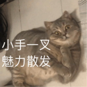 EP13. 魅力心理学：为什么有些人一开口就能征服世界？