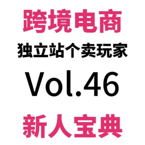 Vol46.一篇搞定！跨境电商独立站出单后，每个环节到底扣多少服务费手续费？